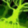 wrath_of_nature.png