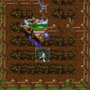 watering.gif