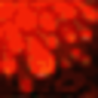 dragon_spirit.png