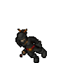 assassinn.gif