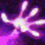 shadows_blessing.png