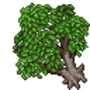 eldertree.png