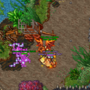 samurai_continent5.png.png