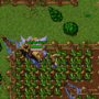harvesting.gif
