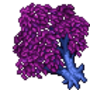 soultree.png