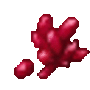 baby_red_dragon.gif