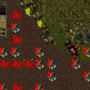 venomed_darkness.png