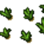 onion_plant.png