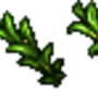 corn_plant.png